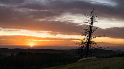 Fototapeta premium Sunset from Panský kopec in the Orlické Mountains and a view of the Czech landscape.