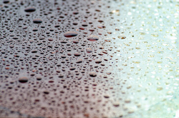 Water Droplets Across a Gradient Spectrum