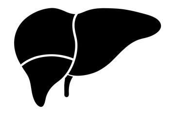 Liver silhouette. Vector illustration 