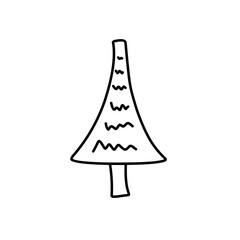 abstract conifer pine fir 