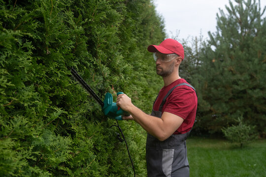 Gardener wearing protective glasses and a red t-shirt trims a hedge in a garden using an electric hedge trimmer, showcasing professional landscaping and yard maintenance skills