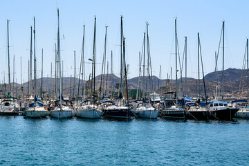 Fototapeta premium Broccoli dish with wooden spoons. 