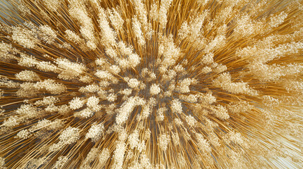 Hyperrealistic Aerial View of Golden Reeds with Intricate Textures and Vibrant Colors in Ultra HD Resolution