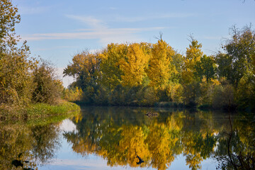 beautiful autumn landscape on a river on a sunny day
