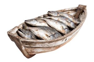 Fresh fish piled in a wooden boat, isolated on a white background, showcasing natural textures and colors.