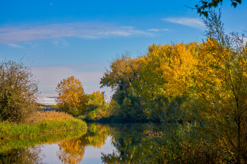 beautiful autumn landscape on a river on a sunny day