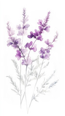 Salvia Sage detailed hand drawn pastel watercolor botanical image, medicinal herbs, light background. Generative AI