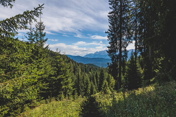 vista panoramica su un vasto ambiente naturale di montagna nell'Italia settentrionale, di giorno, in estate, sotto un cielo nuvoloso