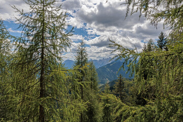 vista panoramica su un vasto ambiente naturale di montagna nell'Italia settentrionale, di giorno, in estate, sotto un cielo nuvoloso