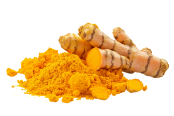 Fresh turmeric root and powder isolated on a white background.