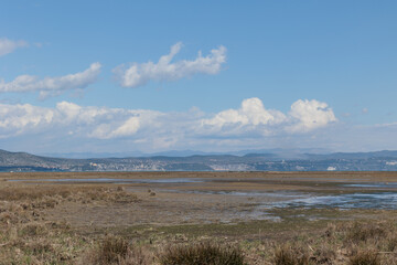vista panoramica sull'ambiente naturale che si estende dall'area di palude alla foce del fiume Isonzo fino alla costa e alle colline vicine alla Slovenia e alla città di Trieste, di giorno