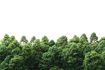 Fototapeta premium Lush green tree line on a transparent background, ideal for design and creative projects.