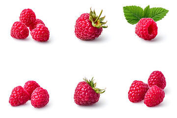Red ripe raspberries with green leaves on a branch isolated on a white background.