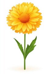 Fototapeta premium A vibrant yellow flower with a round center and green leaves, exuding a cheerful and bright appearance, perfect for spring or floral themes.