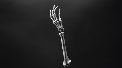 skeleton hand 