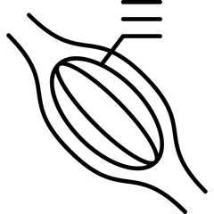 Muscular System Icon