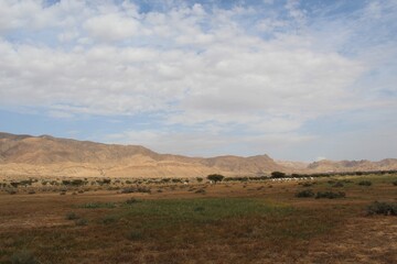 Savannah, North Afrika, Bouhedma National park, southern Tunisia
