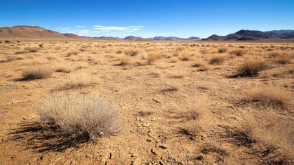Vast Arid Landscape Exploring the Serenity and Isolation of Nature's Untamed Beauty in the Desert
