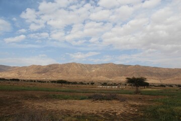 Savannah, North Afrika, Bouhedma National park, southern Tunisia