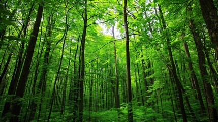 The breathtaking natural scenery, a masterpiece of nature, reveals the beauty of natural scenery. Generative AI