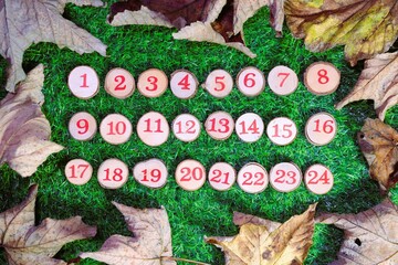 Red numbers 1 to 24 displayed on little wooden log buttons against a bright green grass background surrounded by dry leaves, suitable for Christmas advent.