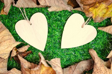 Two light cream coloured wooden hearts suspended by string against a bright green grassy background surrounded by dry leaves. 