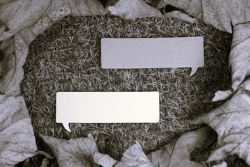 Two speech bubbles against a grass background surrounded by dry leaves in a black and white image.