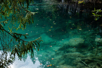 dettagli delle acque limpide e di color verde smeraldo del lago di fusine inferiore, nell'Italia nord orientale, di giorno, in estate