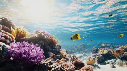 Obraz premium Underwater Splendor: Coral Reefs and Tropical Fish in 4K UHD