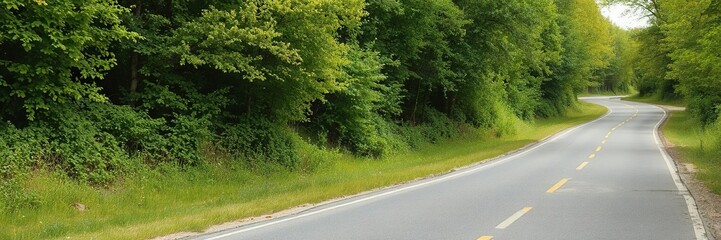 Obraz premium A scenic view of a winding road with lush green trees lining the sides, speed, route