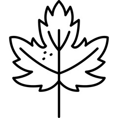 Maple Leaf Icon