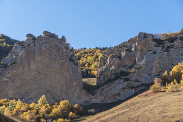 Kabardino-Balkaria. El-Tyubu. Rocky mountains with trees growing on their slopes glow in morning sun. Close-up. Chegem Gorge. Unique rocky ridge with steep cliffs against blue autumn sky.