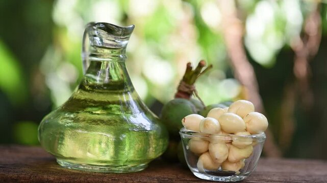 Alexandrian laurel or Calophyllum inophyllum fruits and tamanu oil on natural background.