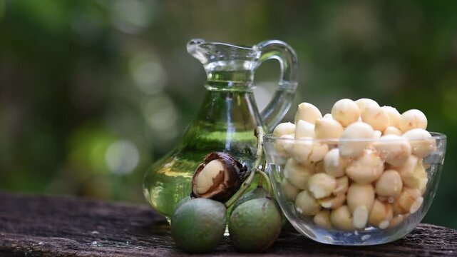 Alexandrian laurel or Calophyllum inophyllum fruits and tamanu oil on natural background.