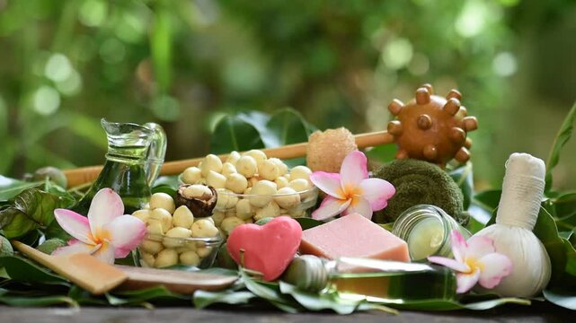Alexandrian laurel or Calophyllum inophyllum fruits , tamanu oil and processing into soap, balm, etc on natural background.