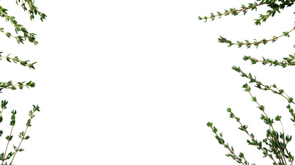 Obraz premium Green floral frame with ivy leaves, perfect for spring and summer designs