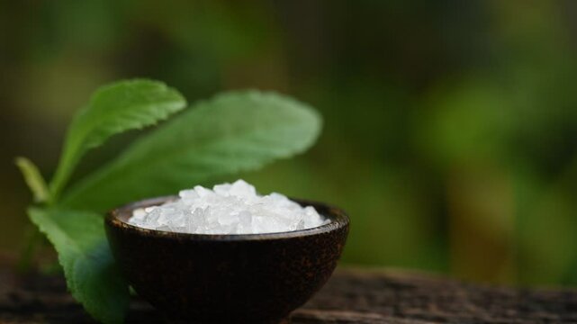 Borneol camphor crystals and Ngai Camphor branch green leaves on natural background.