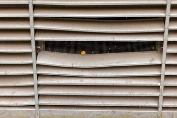 A close-up of a metal vent with a small piece of orange debris visible through the mesh screen