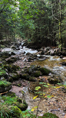 A small mountain river with a flow of water in the Polish mountains. Eastern Sudetes