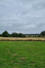 Scenic Summer Landscape of Lush Grass and Rolling Fields Under Overcast Skies