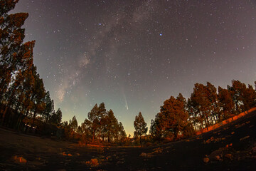 Milky Way and Comet C/2023 A3 at the top of Gran Canaria