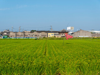 町工場と田園風景