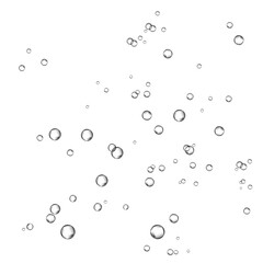 Oxygen air bubbles  flow  in water on white  background.