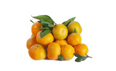 tangerines and leaves