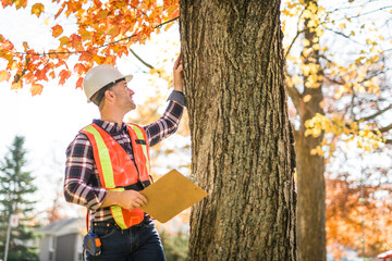 man holding a clipboard, inspect tree