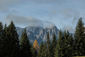 catena montuosa distante vista da lontano da dietro gli alberi di una foresta di montagna nel nord Italia, con il cielo azzurro coperto in parte da poche nuvole leggere