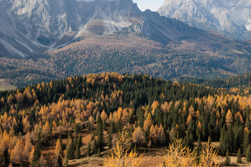 vista dettagliata di varie catene montuose basse ricoperte da foreste, che si estendono in...