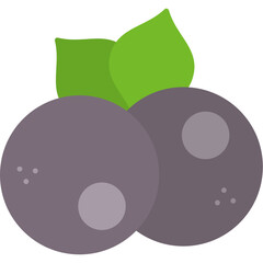 Sea Buckthorn Icon