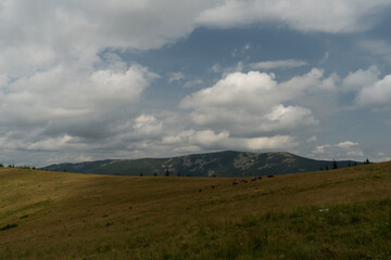 Fototapeta premium clouds over the mountains