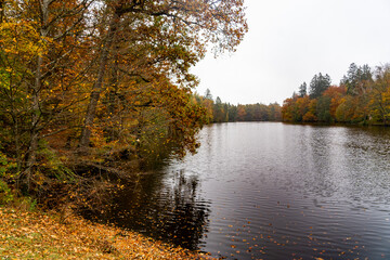 Whispers of Autumn: A Symphony of Orange and Gold at Stuttgart’s Hidden Gem, Bärensee